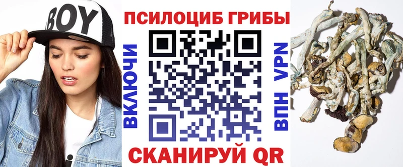 Псилоцибиновые грибы GOLDEN TEACHER  Раменское 